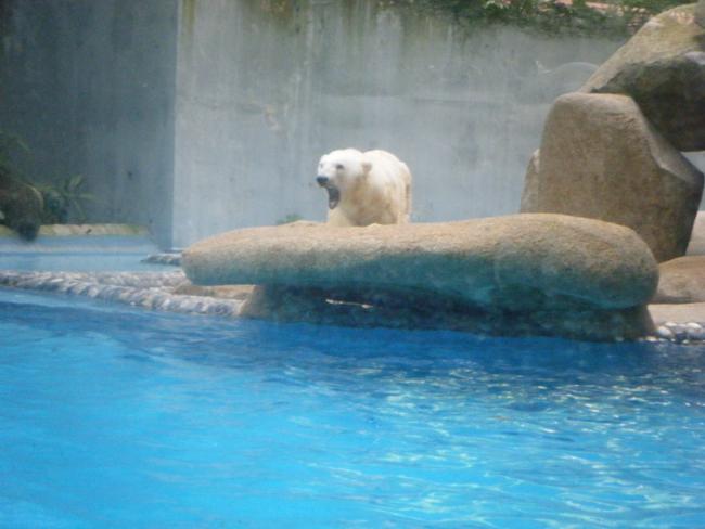 DSCF1449.jpg
